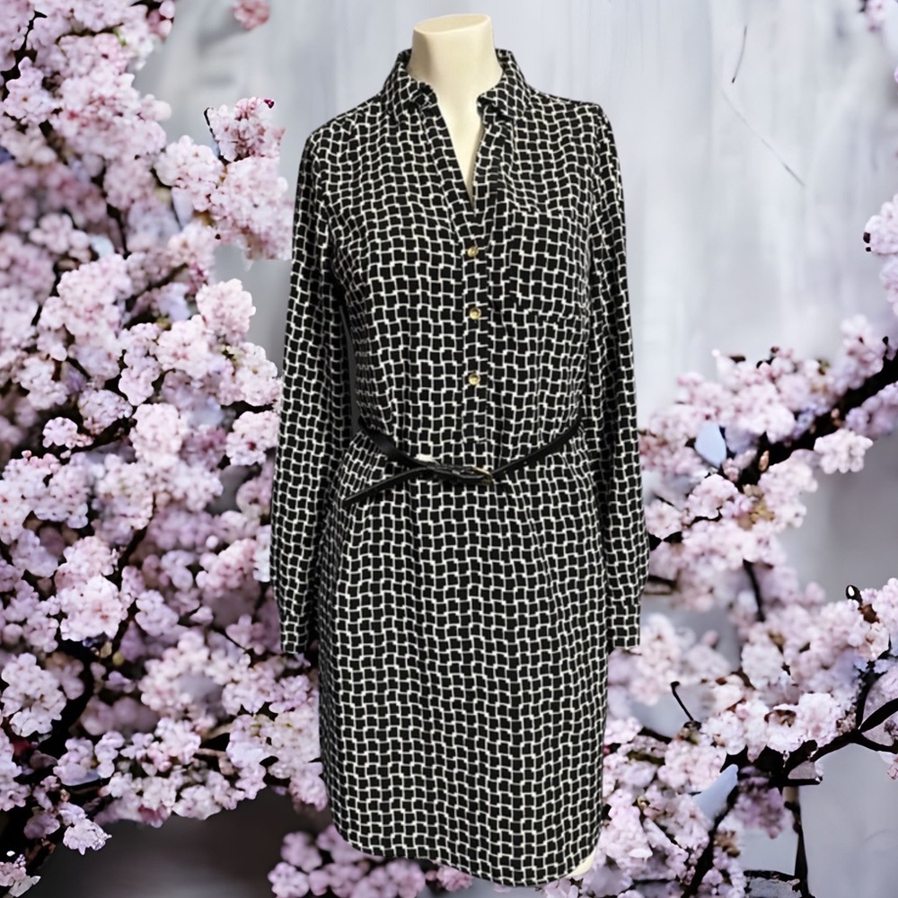 The Limited Dress